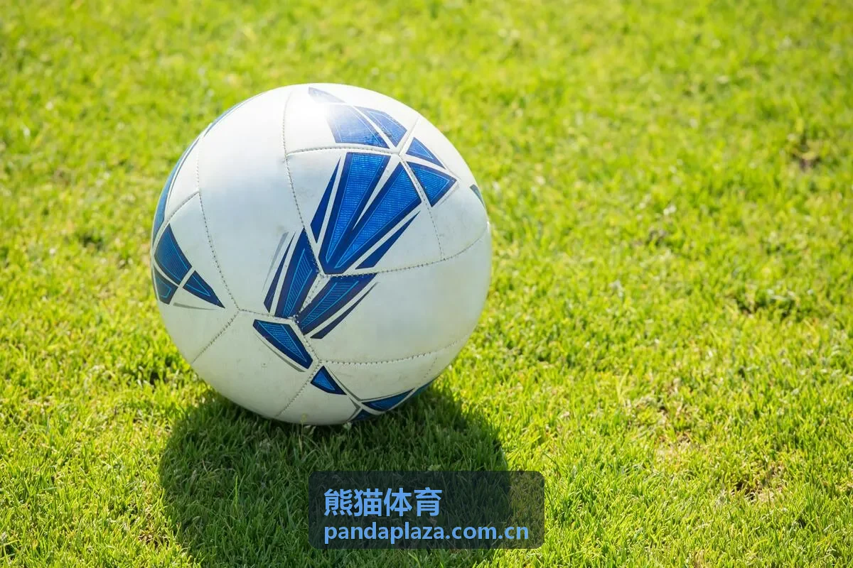 熊猫体育用户在城市公园享受运动生活